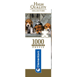 Beagles - 1000 teile