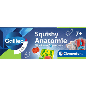 Squishy Anatomie