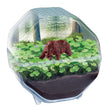 Laden Sie das Bild in den Galerie-Viewer, Mini Terrarium - Bär
