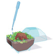 Laden Sie das Bild in den Galerie-Viewer, Mini Terrarium - Bär
