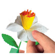 Laden Sie das Bild in den Galerie-Viewer, Create your Flowers: Daffodil
