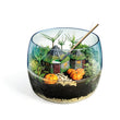 Laden Sie das Bild in den Galerie-Viewer, Harry Potter - Terrarium
