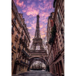 Laden Sie das Bild in den Galerie-Viewer, PARIS AWAKENS - 1500 teile
