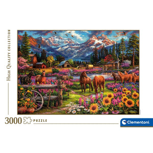 FREE TO ROAM - 3000 teile