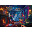 Laden Sie das Bild in den Galerie-Viewer, Cinderella - 500 teile

