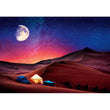 Laden Sie das Bild in den Galerie-Viewer, Starry Night Dream - 500 teile
