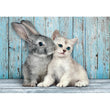 Laden Sie das Bild in den Galerie-Viewer, Cat &amp; Bunny - 500 teile
