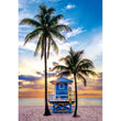 Laden Sie das Bild in den Galerie-Viewer, Miami Beach Florida - 500 teile

