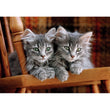 Laden Sie das Bild in den Galerie-Viewer, Kittens - 500 teile
