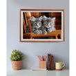 Laden Sie das Bild in den Galerie-Viewer, Kittens - 500 teile
