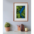 Laden Sie das Bild in den Galerie-Viewer, Tropical Aerial View - 500 teile
