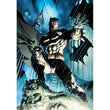 Laden Sie das Bild in den Galerie-Viewer, Batman - 500 teile
