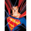 Laden Sie das Bild in den Galerie-Viewer, Superman - 500 teile
