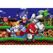 Laden Sie das Bild in den Galerie-Viewer, SONIC 64 BIT - 500 teile
