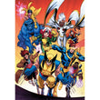 Laden Sie das Bild in den Galerie-Viewer, Marvel Xmen - 1000 teile
