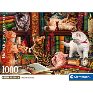 CURIOUS WHISKERS - 1000 teile