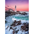 Laden Sie das Bild in den Galerie-Viewer, FURST SNOW AT PORTLAND HEAD - 1000 teile
