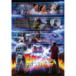 Laden Sie das Bild in den Galerie-Viewer, BACK TO THE FUTURE - 1000 teile
