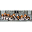 Laden Sie das Bild in den Galerie-Viewer, Beagles - 1000 teile

