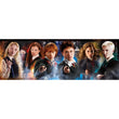 Laden Sie das Bild in den Galerie-Viewer, Harry Potter - 1000 teile

