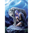 Laden Sie das Bild in den Galerie-Viewer, Anne Stokes Protector - 1000 teile
