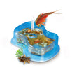 Laden Sie das Bild in den Galerie-Viewer, Original Triops Starter-Set
