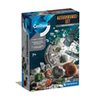 Laden Sie das Bild in den Galerie-Viewer, Austrabungs-Set Fossilien &amp; Mineralien
