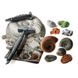 Laden Sie das Bild in den Galerie-Viewer, Austrabungs-Set Fossilien &amp; Mineralien
