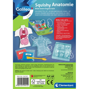 Squishy Anatomie