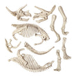Laden Sie das Bild in den Galerie-Viewer, Ausgrabungs-Set T-Rex &amp; Triceratops
