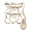 Laden Sie das Bild in den Galerie-Viewer, Ausgrabungs-Set T-Rex &amp; Triceratops
